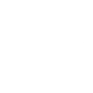 Bank of America Logo