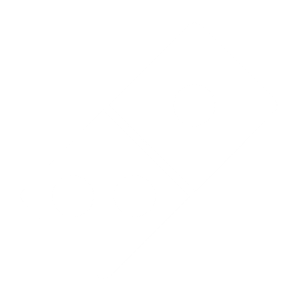 Domino's Logo