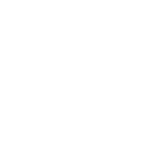 Verizon Logo